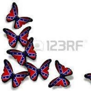 Meet your Posher, Dani